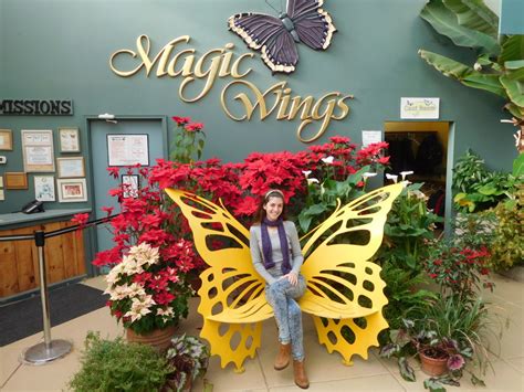 Witness the Graceful Flight of Butterflies at Magic Wings Butterfly Conservatory